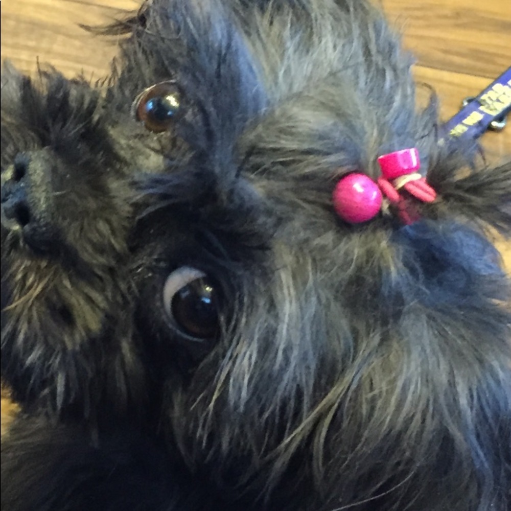 Meet your Posher, Mikki